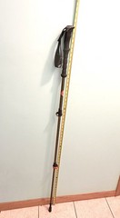 Ozark Trail Aluminum Adjustable Quick Lock Trekking Pole Maximum Height 55”