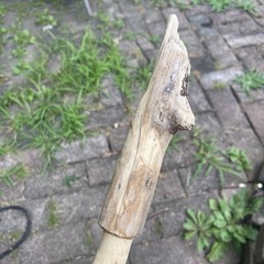 Hand-Carved Wooden Walking Stick Cane w/ Animal Head Handle, Brown, Unisex