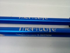 The Fit Life Duralumin Trekking Poles (Blue)