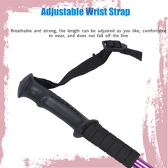 2PC Anti-Shock Hiking Trekking Poles Adjustable Nordic Walking Sticks Alpenstock