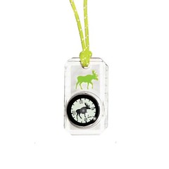 Sun Company Wildlife Compass for Kids – Children’s Compass