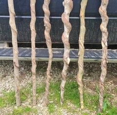 🔥BEAUTIFUL! Set of 6 FRESH Cut Vine Twisted Stick with Bark~ Read Description