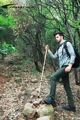 Trekking Pole- 1-pc Pack – Adjustable Hiking or Walking Stick –Strong Natural…