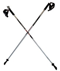 LEKI Nordic Walking Pacer Ultra Lightweight HM Carbon 125cm Silver