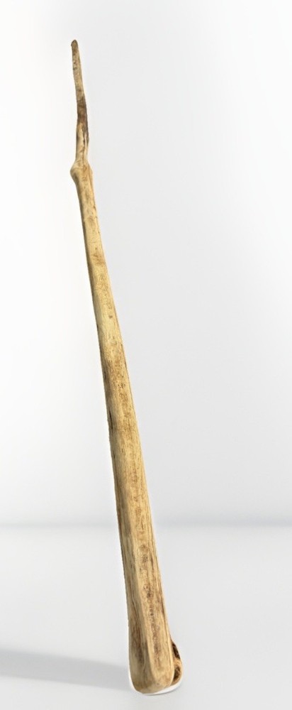 VTG Weathered Driftwood Skinny Tall Walking Stick 68″ Strong Staff OOAK Raw MN