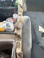 Hand-Carved Wood Walking Stick with Decorative Faces for Hiking, Beige