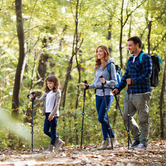 Quick-Adjust Collapsible Trekking Poles: Easy Setup for Hiking and Climbing