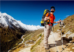 Alpenstock Anti-shock Trekking Poles Adjustable Walking Hiking Nordic Sticks