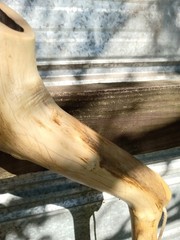 Handmade Rustic Crooked Walking Stick Feathered Staff