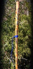 64” Sweetgum FRACTAL LICHTENBERG Walking HIKING Stick Handmade & Finished 🇺🇸