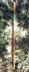 Bamboo Staff – 62″ – Walking Hiking Trekking Stick – Paracord Grip & Strap – #20