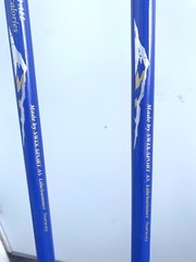 SKI WALKING Extendable 50 inches Pair of Trekking Poles