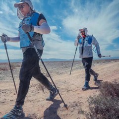Pair of Hiking Trekking Poles Walking Sticks Alpenstock Telescopic Anti-Shock