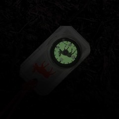Sun Company Wildlife Compass for Kids – Childrens Compasses for Camping, Hiki…