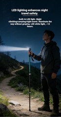 Folding Walking Stick Telescopic Adjustable Anti-slip Trekking Bluetooth Music