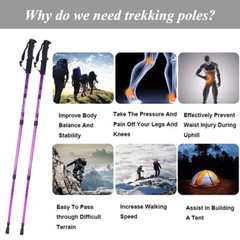 2X Trekking Poles Walking Hiking Sticks Adjustable Anti-shock Nordic Alpenstock