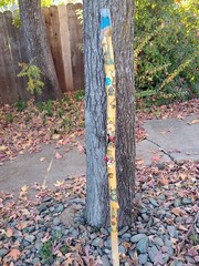 Walking staff. Alice and Wonderland themed, hand crafted, hand painted.