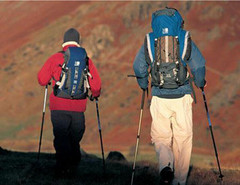 Trekking Stick Walking Hiking Poles Adjustable Folding Anti-Shock Sticks