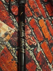 Leki Wanderfreund Speed Lock – Trekking Hiking Pole – Extends Up To 48″ – NEW