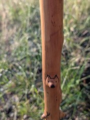 Handmade Animal Staff