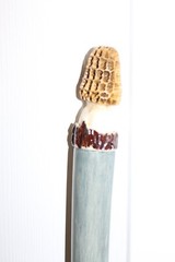 Custom Made Red Oak Walking Hiking Stick with Antler Morel Carving on Top