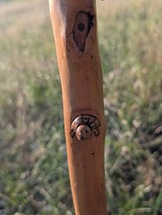 Handmade Animal Staff