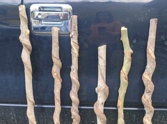 🔥BEAUTIFUL! Set of 6 FRESH Cut Vine Twisted Stick with Bark~ Read Description