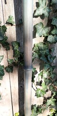 Bamboo Staff – 64″ – Walking Hiking Trekking Stick – Paracord Grip & Strap – #17