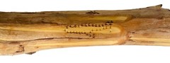 WALKING STICK 56″ HAND CARVED CANE Nature Animals Stars Moon Sun Astrology Peter