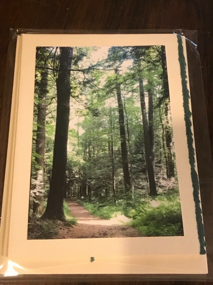 BLANK NOTE PHOTO GREETING CARDS Walk in the Woods Trail Hike Nature Green