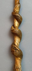 Hand Carved Eagle Head Twisted Wood Solid Walking Stick ( 57” Tall )