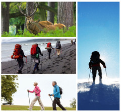 Trekking Poles Walking Sticks Travel Hiking Adjustable Collapsible Outdoor Poles