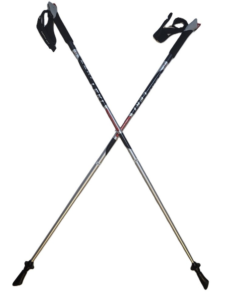 LEKI Nordic Walking Speed Pacer Vario HM Carbon Adjustable Poles Silver 115cm