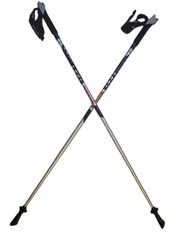 LEKI Nordic Walking Speed Pacer Vario HM Carbon Adjustable Poles Silver 115cm
