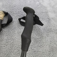 REI Co-Op Flash Carbon 120 Hiking Trekking Poles
