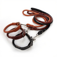 Reinforced PU Leather Dog Leash 1.2m with for cross Stitching for Durability