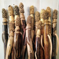 Walking Stick + Morel Mushroom + Carved + Morel Hiking Stick + Staff + USA Made