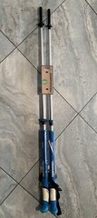 Light Blue Hiking Stick