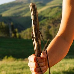 Brazos 48″ Free Form Ironwood Walking Stick Hiking Trekking Pole, Made in the