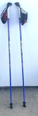 SKI WALKING Extendable 50 inches Pair of Trekking Poles