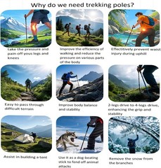 Lightweight Cork Ultralight Foldable Trekking Poles with Bluetooth Remote (1 Pac