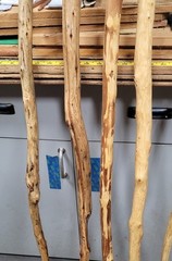 CUSTOM CEDAR STICKS TREK HIKE CAMP PARACORD OR LEATHER WRAP OR LANYARD+COMPASS