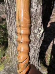walking /hiking staff