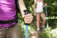 Camping, Trekking Poles, 2 Pack