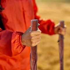 55 in Rustic Wood Walking Stick, Traditional Style Handle, for Men & Women