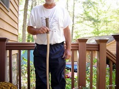 cured/economy HICKORY HIKING trekking/walking stick w/bark handle~strong/sturdy