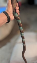 ​Custom Hand Carved Oak Cane Walking Stick Teal Spiral Petrified Wood Inlay 45″