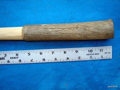 cured/economy HICKORY HIKING trekking/walking stick w/bark handle~strong/sturdy
