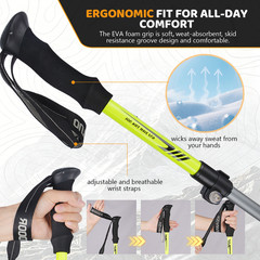 2 Packs Collapsible Trekking Poles Walking Sticks with Quick Lock Lightweight