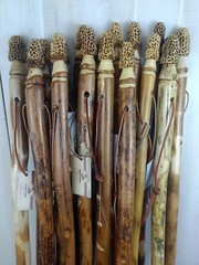 Walking Stick + Morel Mushroom + Carved + Morel Hiking Stick + Staff + USA Made